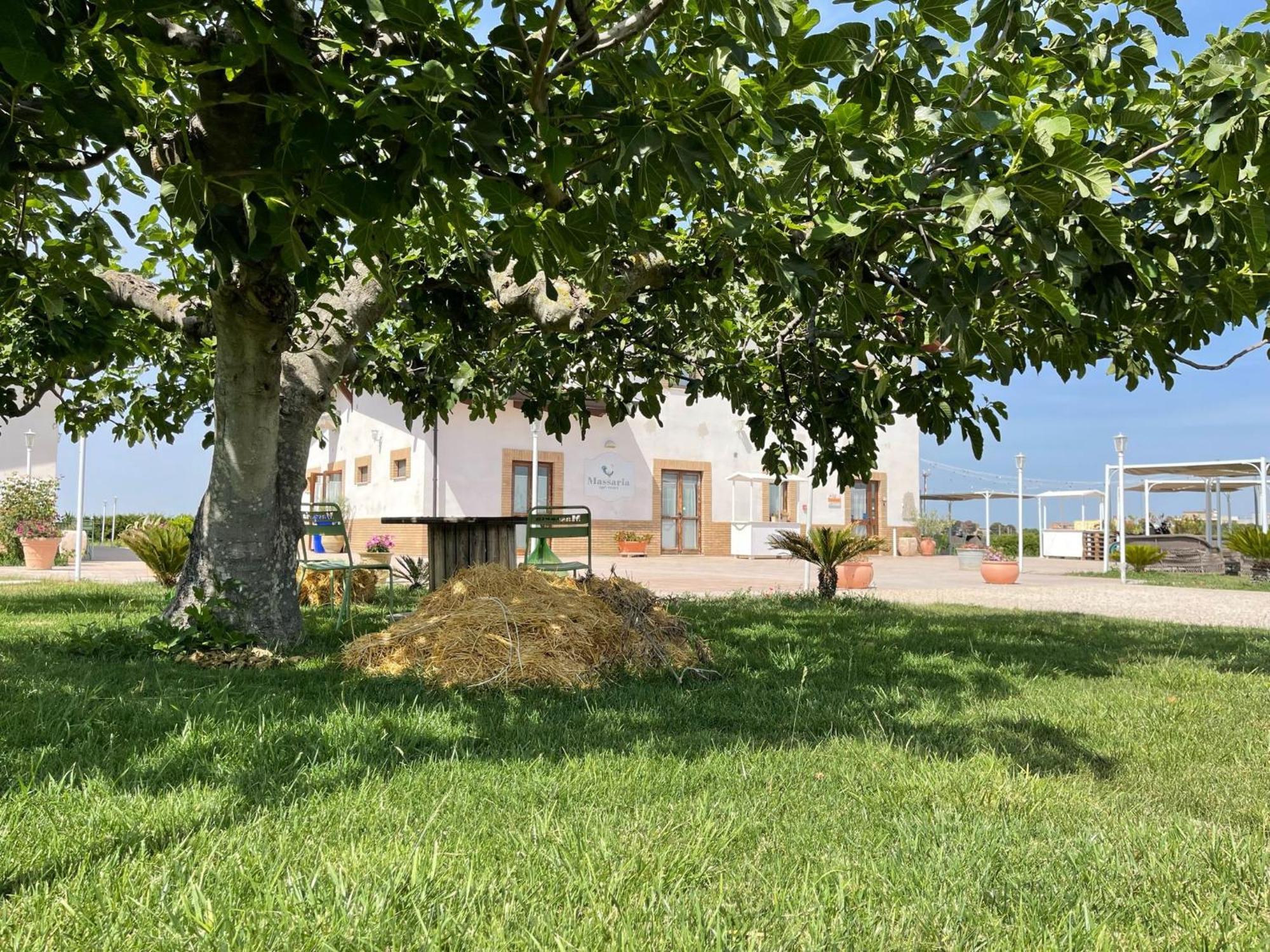 La Massaria Agriresort Orta Nova Exterior foto