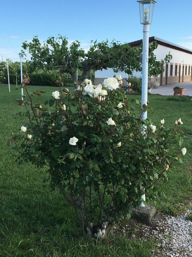 La Massaria Agriresort Orta Nova Exterior foto